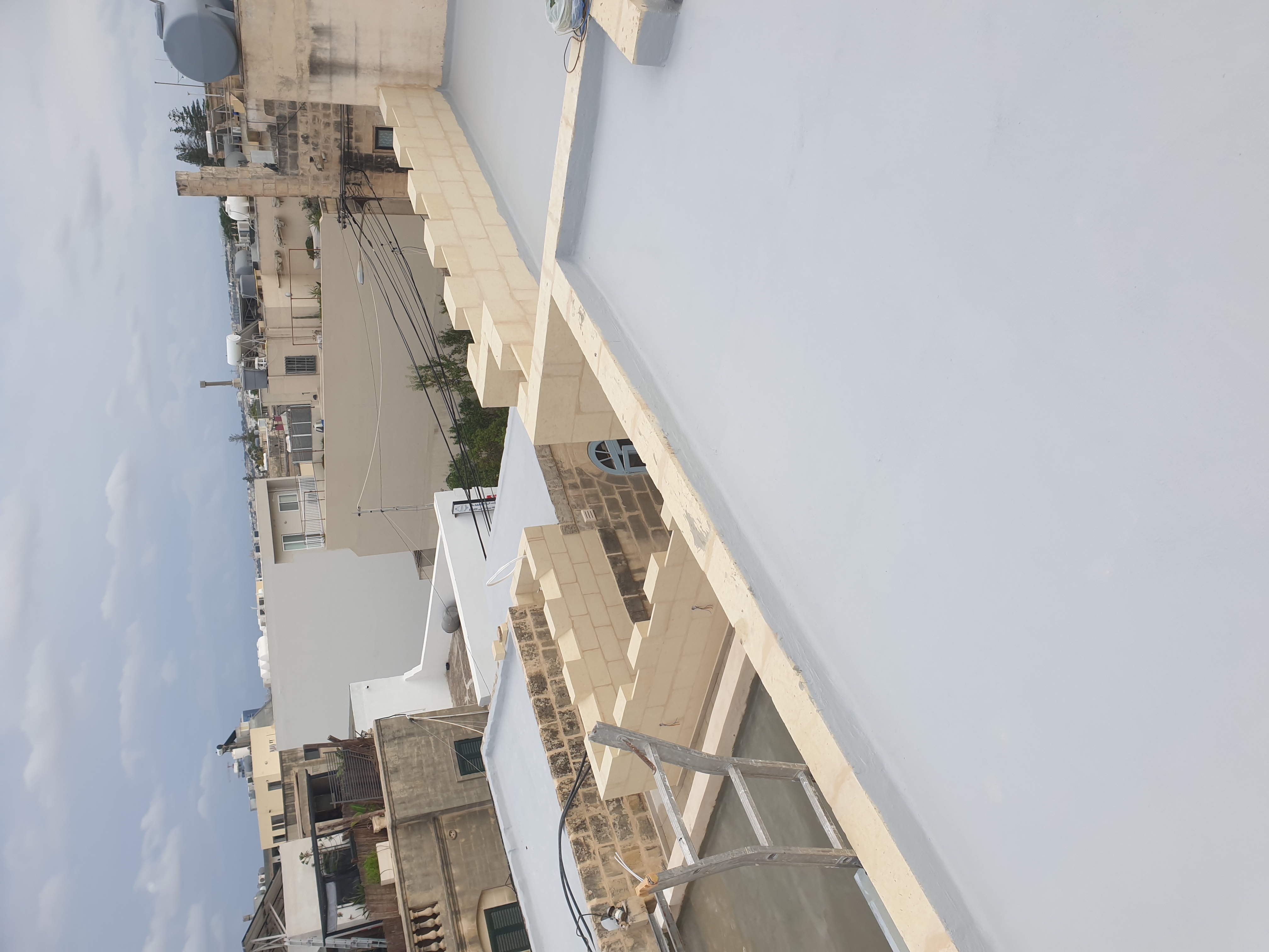 Applying green liquid membrane to roof